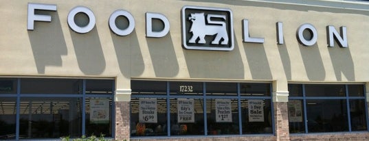 Food Lion Grocery Store is one of Stores.