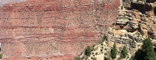 Grand Canyon National Park is one of Best Places to Check out in United States Pt 1.