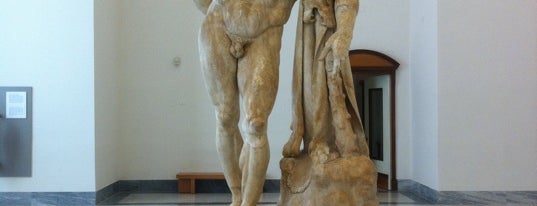 National Archeological Museum is one of Napoli.