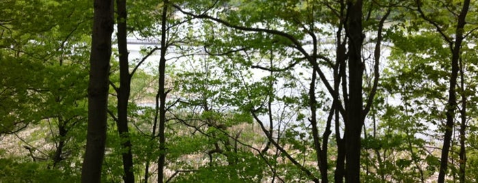 Genesee Riverway Trail is one of Roc.