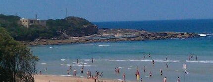 Freshwater Beach is one of to-do SYDNEY.