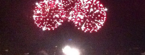 Navy Pier Fireworks is one of Locais curtidos por Rick E.