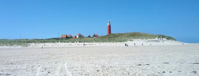 Texel is one of Texel.