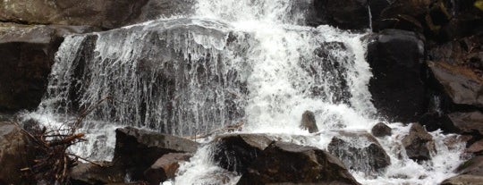 Laurel Falls is one of Tennessee Trip.