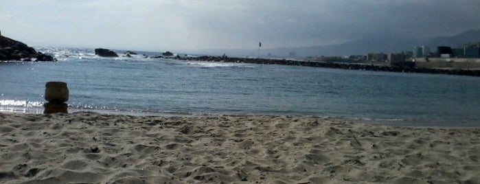 Playa Paraiso is one of Posti salvati di Luis.