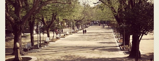 Parque da Alameda is one of Tempat yang Disukai David.
