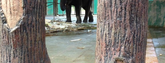 Kuala Gandah Elephant Sanctuary is one of Pahang Tourism.