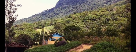 Trilha Pedra Branca is one of Trilhas Florianopolis.