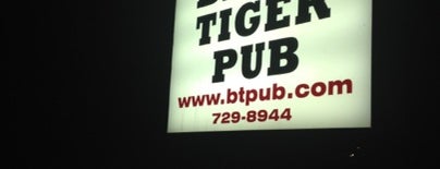Blind Tiger Pub is one of Locais curtidos por Greg.