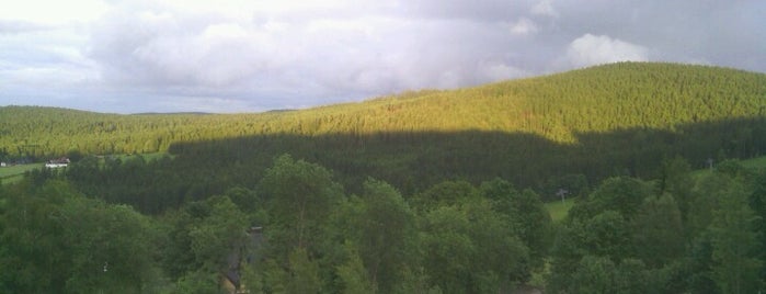 Churáňov is one of Sumava Bohmerwald Bohemian forest (Czech Republic).