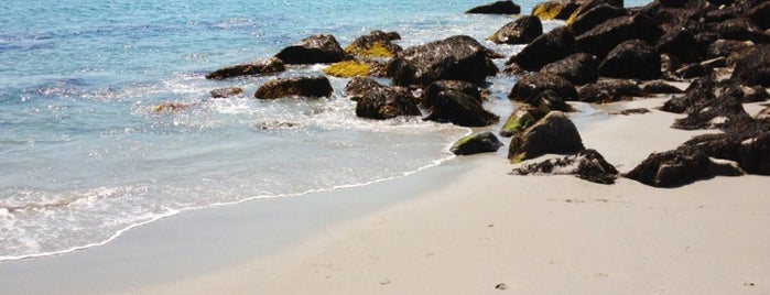 Crystal Crescent Beach is one of Lugares favoritos de Greg.