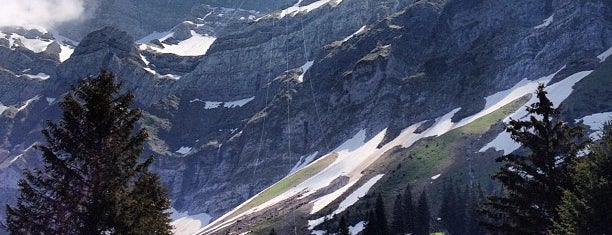 Schwägalppass is one of Andreas’s Liked Places.