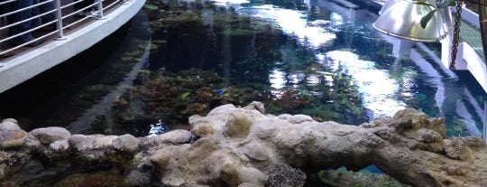 California Academy of Sciences is one of A Few SF Gems I've Found.