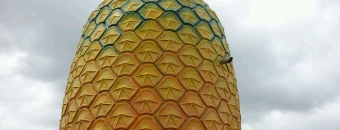 The Big Pineapple is one of Buildings Shaped Like the Food They Serve.