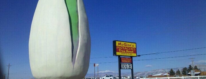 Giant Pistachio is one of World's Largest ____ in the US.