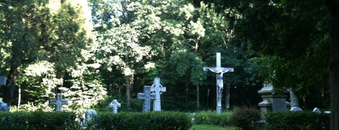 Seminary Woods is one of Cemeteries & Crypts Around the World.