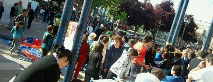 Municipalidad de San Bernardo is one of Festival del Folklore de San Bernardo.