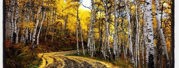 Alpine Loop, Provo Canyon is one of What to visiti in the SLC area..