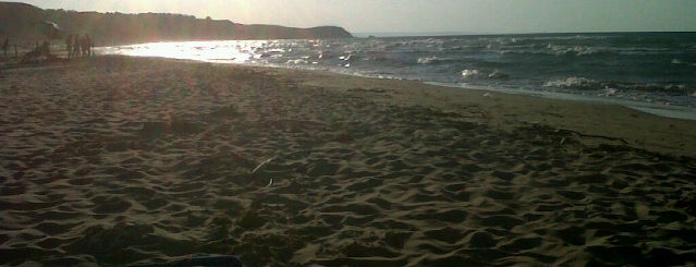 Spiaggia di Punta Penna is one of Marioさんのお気に入りスポット.