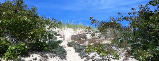 The Walking Dune Trail is one of Long Island.
