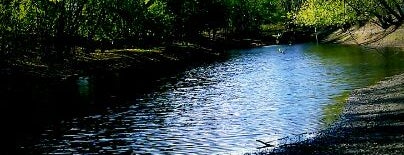 Fort Snelling State Park is one of Around town.