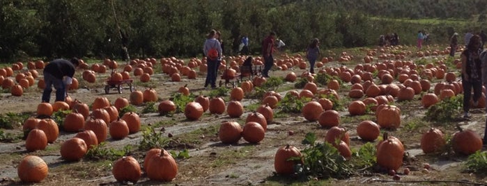 Weed Orchards & Winery is one of Beacon.