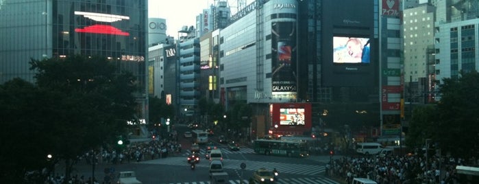 Shibuya Crossing is one of Sakura Badge.