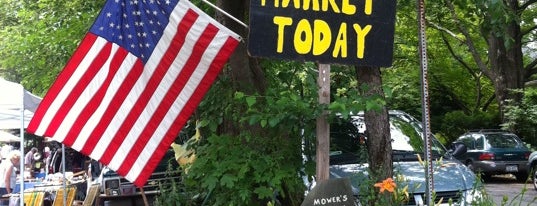 Mower's Flea Market is one of Woodstock.