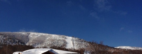 奥志賀高原スキー場 is one of สถานที่ที่ Toyokazu ถูกใจ.