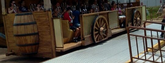 Crazy Wagon is one of Hopi Hari - Atrações.
