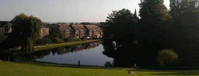 Services & Freetime in Dilbeek