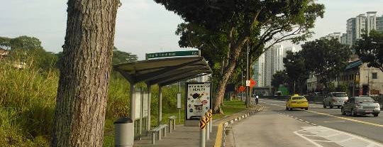 SG Bus Stops