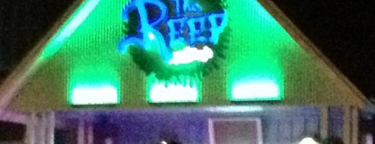 The Reef At Marley's is one of Favorite Three Olives Places!.