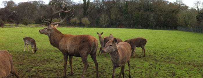 Newbridge House & Demesne is one of Gespeicherte Orte von Will.