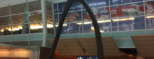 댈러스 포트워스 국제공항 (DFW) is one of World Airports.