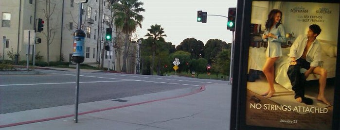 UCLA BruinBus Stop: Weyburn Terrace is one of BruinBus Stops.