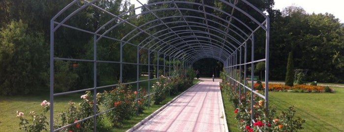 Dendrariu Park is one of Guide to Chișinău's best spots.