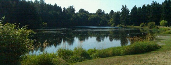 Bradley Lake Park is one of Dog walking in Tacoma.