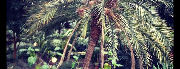 Barbican Conservatory is one of London.
