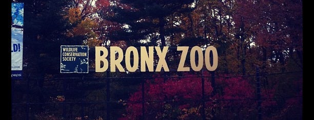 Bronx Zoo is one of Stuff-To-Do List.