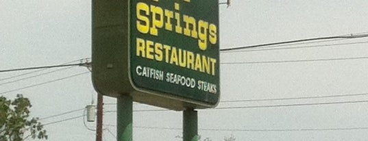 Clear Springs Restaurant is one of Places in New Braunfels.