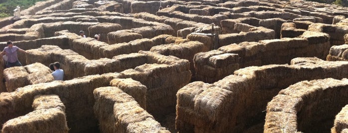 Arata's Pumpkin Farm is one of Exploring the Peninsula Coast.