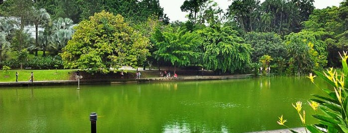 Singapore Botanic Gardens is one of Singapore TOP Places.