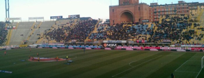 Stadio Renato Dall'Ara is one of Dai colli a Piazza Grande Badge #4sqcities.