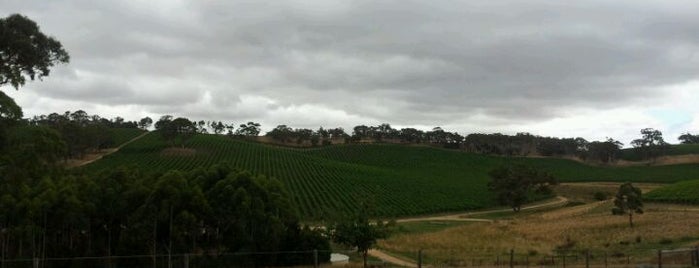 Longview Vineyard is one of James & Mel's Adelaide Hills Wine Adventures.