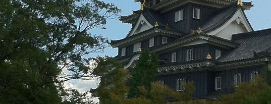 岡山城 is one of 日本100名城.