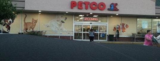 Petco is one of Store.