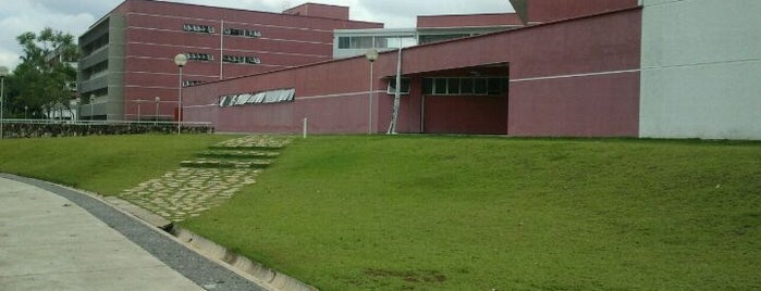 Biblioteca da Faculdade de Ciências Econômicas (Face) is one of Campus.