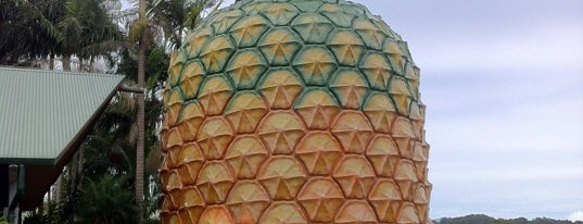 Big Pineapple is one of Big Things.