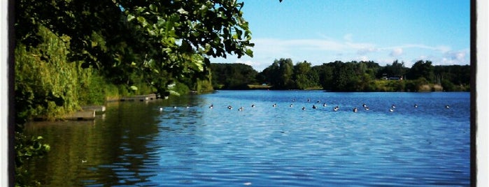 Arrow Valley Lake is one of Tempat yang Disukai Elliott.